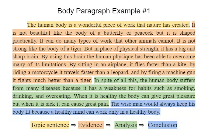 Body Paragraph Examples