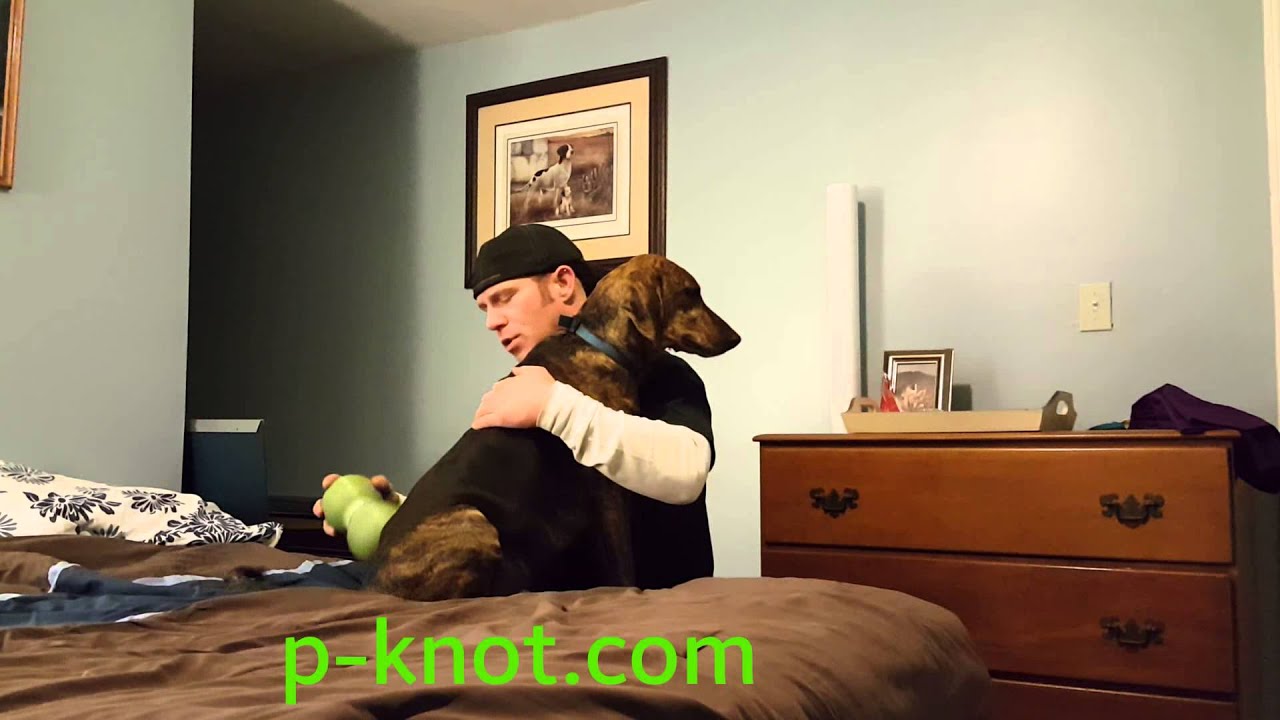 Man Taking Dog Knot